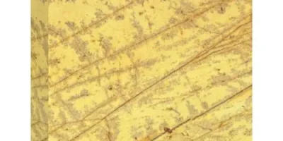 imageye___-_AMARILLO_INDALO-min-500x500