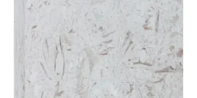 imageye___-_Coral_Shell_3-500x500