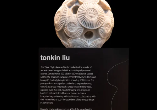 imageye___-_TONKIN-LIU-2-scaled