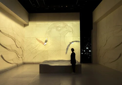 imageye___-_imgi_7_Vision_Pavillion_Falcon10