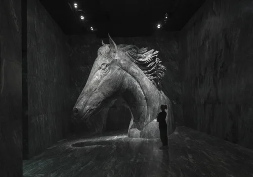 imageye___-_imgi_8_Caballo_Optimizada-ConvertImage